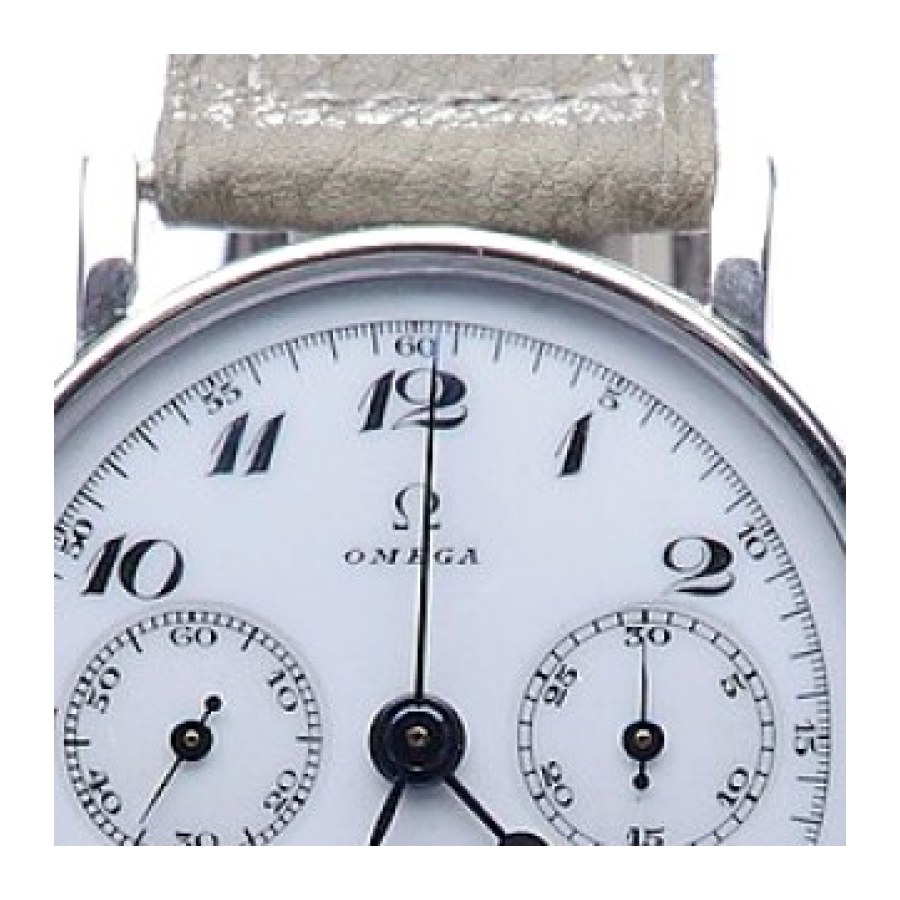 Fossil Neutra — detaj