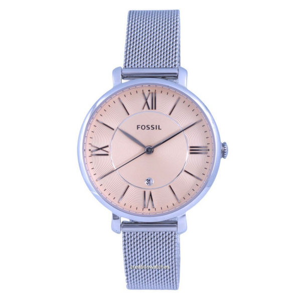 Fossil Jacqueline